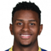 https://img.papacense.com/img/football/player/8f34f88aa4554ac834f0eada57c52f01.png